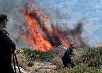 توقيف 19 شخصا بتيبازة