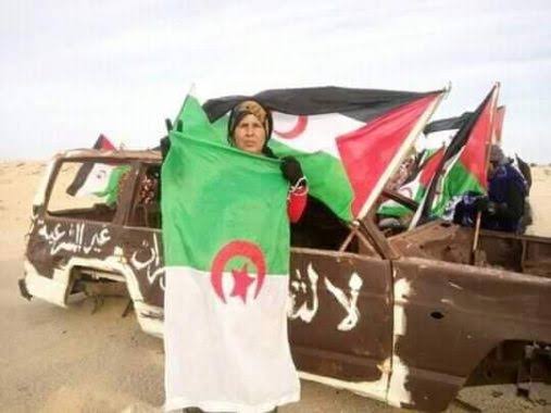 الجزائر تؤكد أن النزاع في الصحراء الغربية مسألة تصفية استعمار