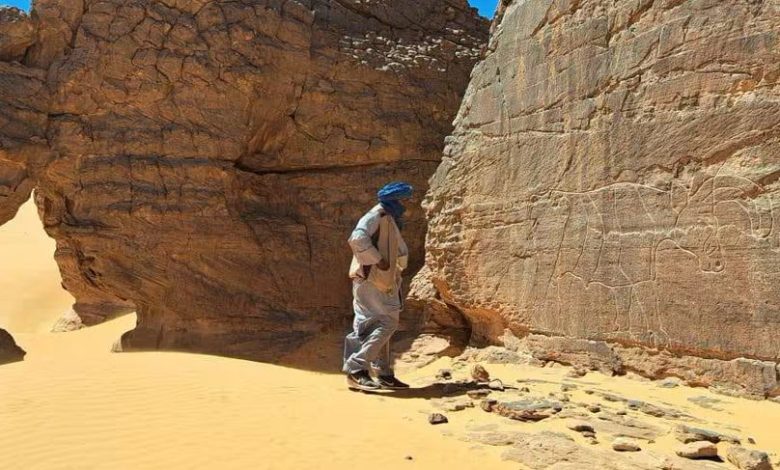 عين الجزائر