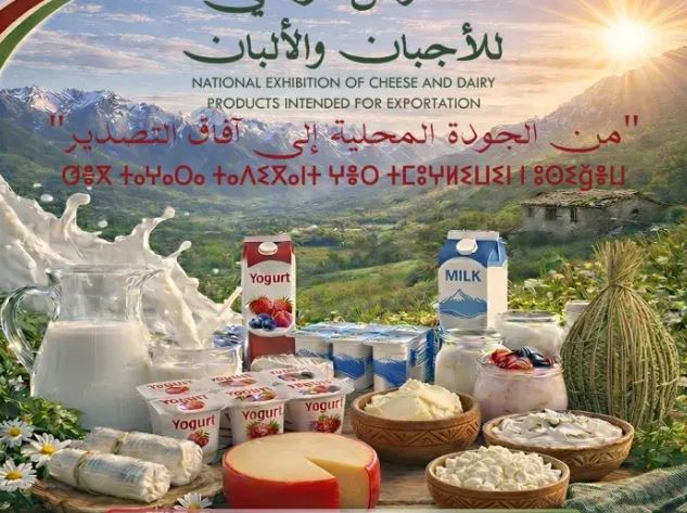 عين الجزائر