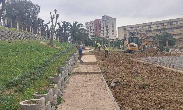 عين الجزائر