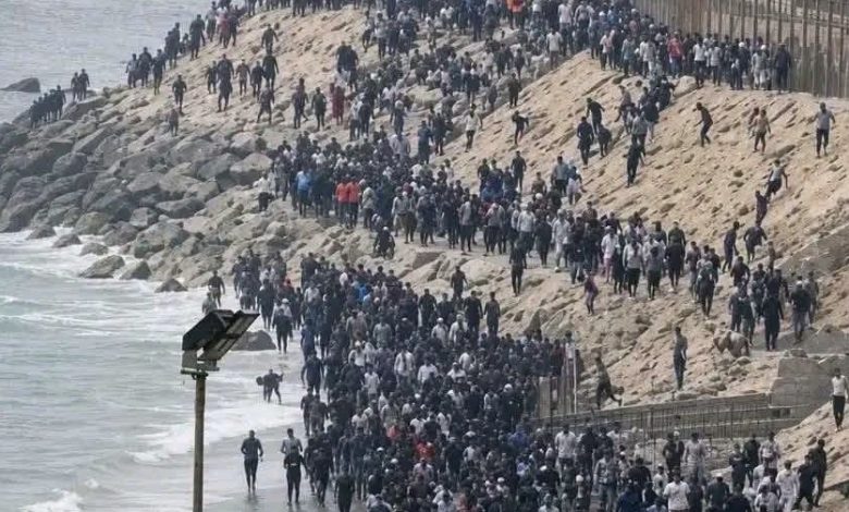 عين الجزائر