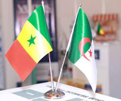 عين الجزائر