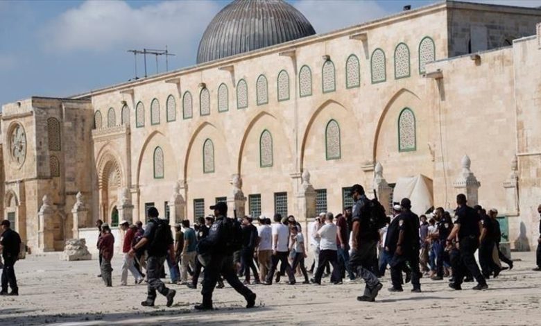 عين الجزائر