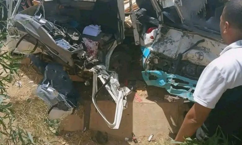 عين الجزائر