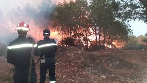 عفرة حميد : تدخلات الزلازل والفيضانات وحرائق الغابات كلفت الجزائر 545 مليار دج