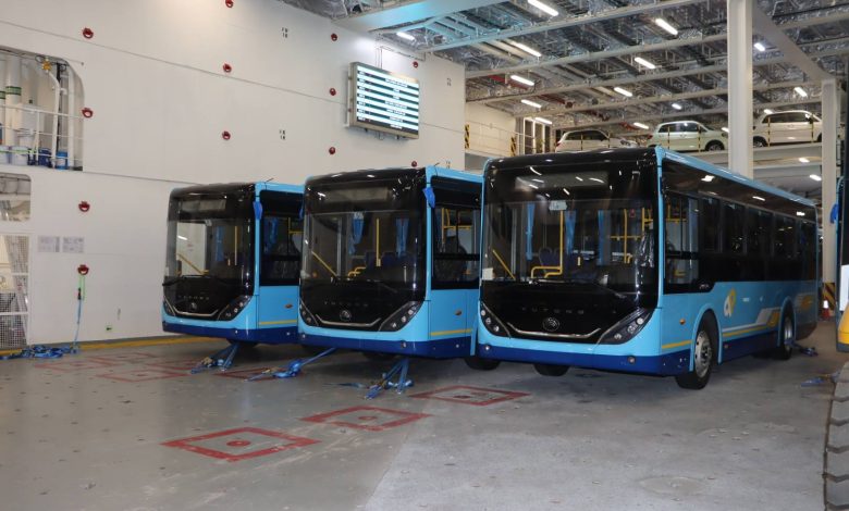 عين الجزائر