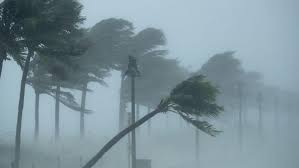 رياح قوية بسرعة 80 كلم/سا وأمواج تصل إلى 4 أمتار على هذه السواحل