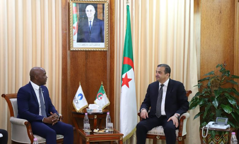 عين الجزائر