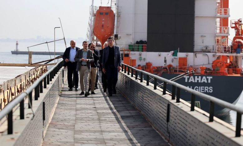 عين الجزائر