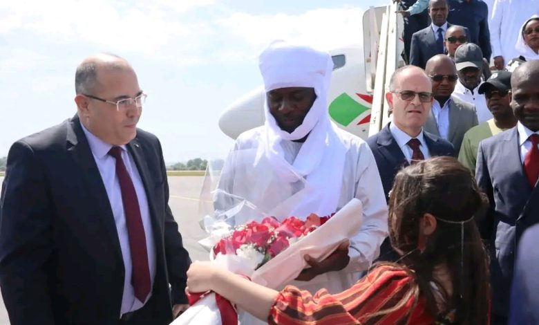 عين الجزائر