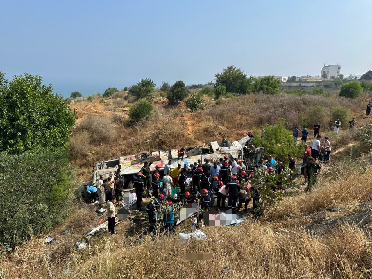 عين الجزائر