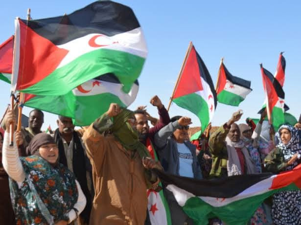 عين الجزائر