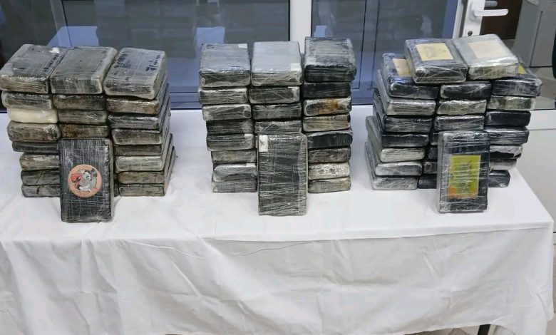 عين الجزائر