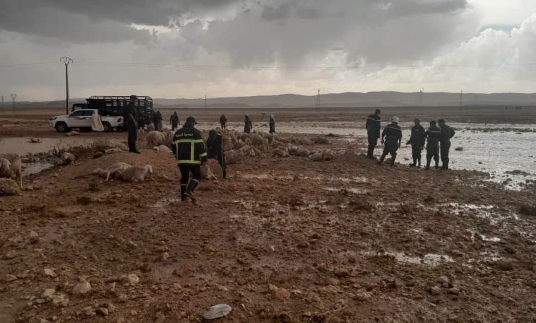عين الجزائر