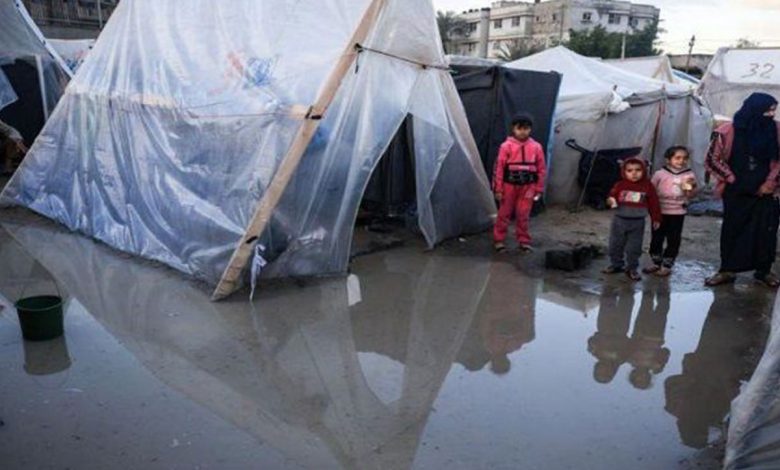 عين الجزائر