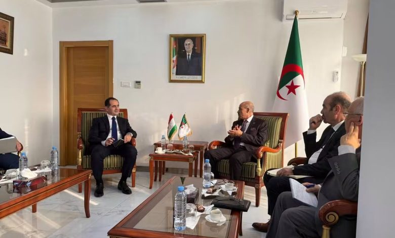 عين الجزائر
