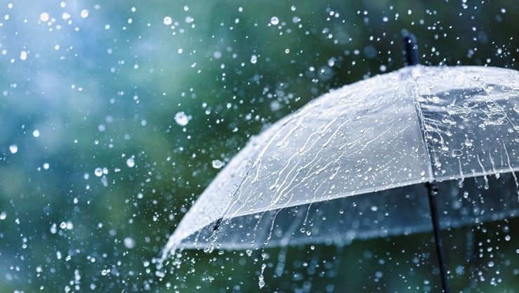 أمطار رعدية غزيرة على العديد من ولايات الوطن