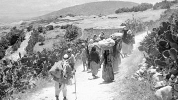 عين الجزائر