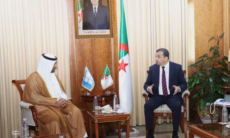 عين الجزائر