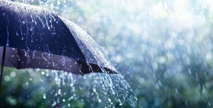 أمطار رعدية على العديد من ولايات الوطن