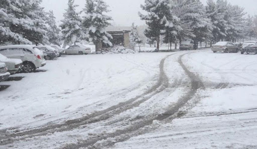 تهاطل الثلوج في 18 ولاية بداية من صبيحة الغد 