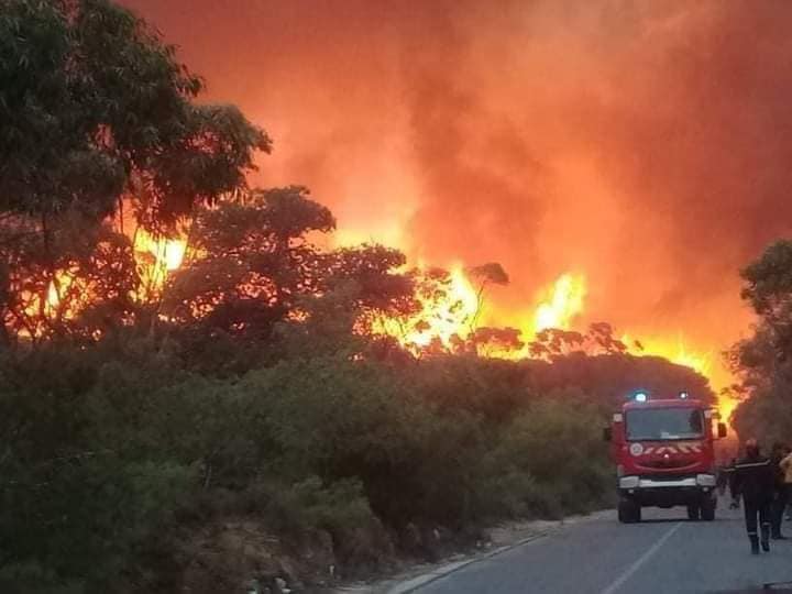 اندلاع حرائق غابات في عدة ولايات وفي نفس الوقت