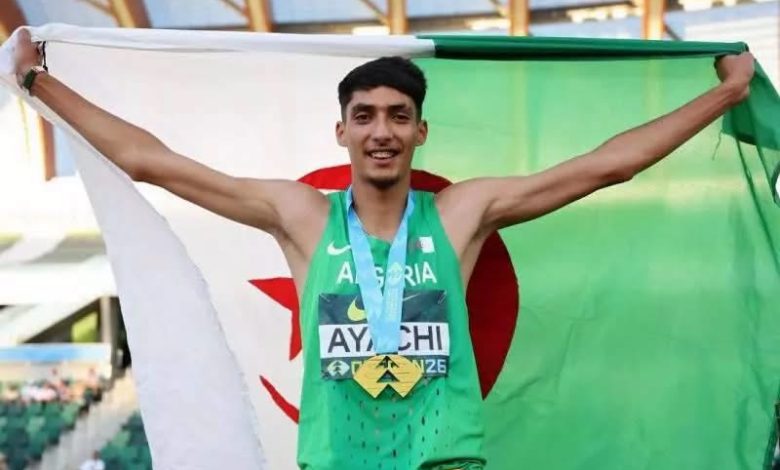 عين الجزائر