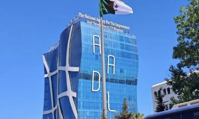 عين الجزائر