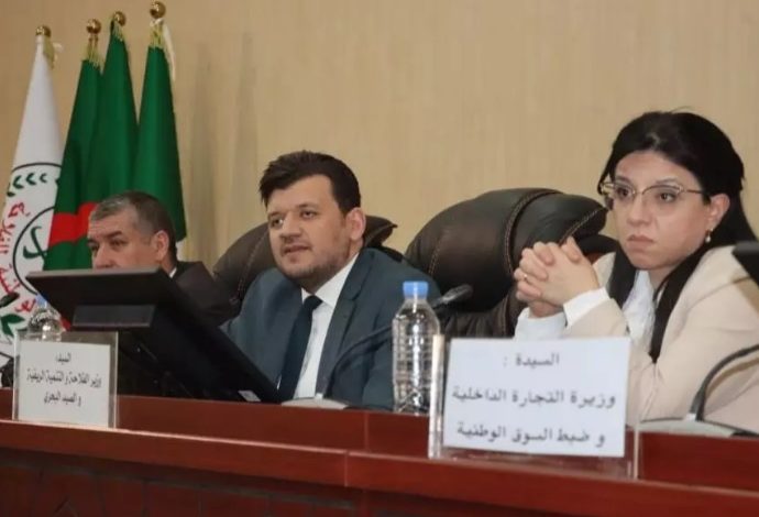 شعبة الطماطم: توجه لتعزيز التنظيم والتمويل لضمان الوفرة واستقرار الأسعار