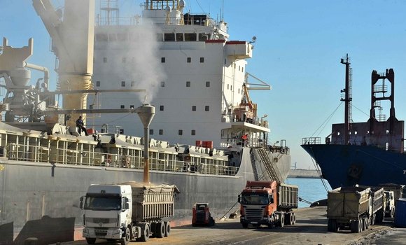 مجمع النقل البحري الجزائري يعتزم اقتناء ستة بواخر خاصة بنقل الحبوب