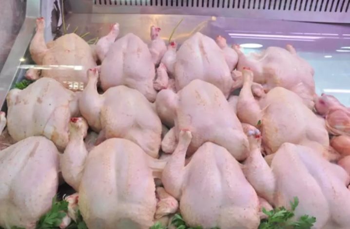 الشروع في ضخ كميات معتبرة من الدجاج المجمد تدريجيا في السوق