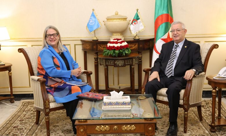 ناصري يستقبل السفيرة المنسقة المقيمة لمنظمة الأمم المتحدة بالجزائر