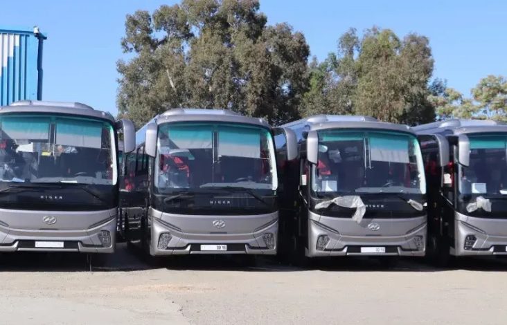 عين الجزائر